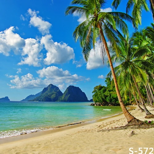 8 X8Ft Green Mountain Island Palme Sand Beach Summer Sea Sky Custom Photo Background Studio Sfondo Vinile 240Cm X 240Cm