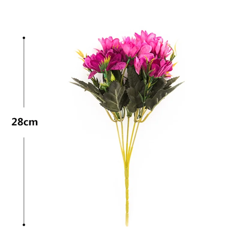 CB0286 (2)