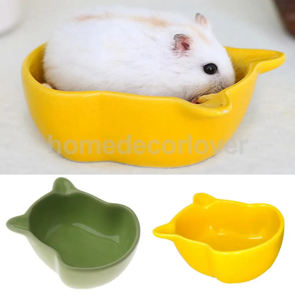 Ceramic Crates Squirrels Parrot Cage Feeder Pet Food Water Bowl Food