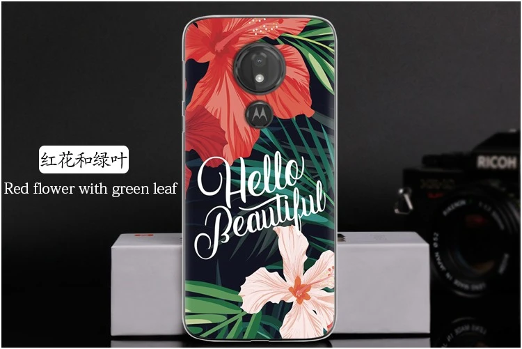  Red flower with green leaf