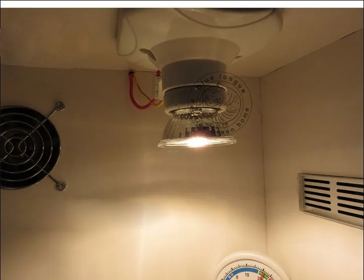 Sunning Heat Lamp 25~75 Watt Bulb, emits a broad-spectrum light, Provided A Basking Lamp Reptiles, Amphibians, And other Animals3