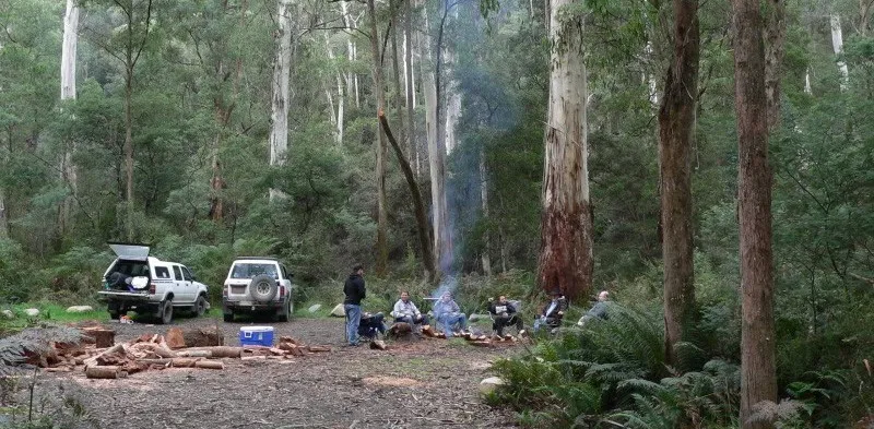 HTB1kkeYKVXXXXXTXXXXq6xXFXXXO