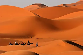 

Camels Caravan in the Sahara Desert City Landscape Scenery Poster Fabric Silk Posters And Prints for Home Decor 036