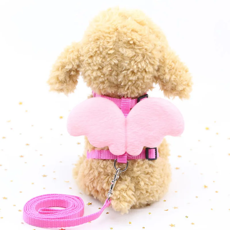 chihuahua harness