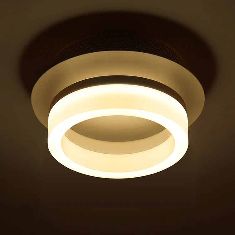 A1 Stylish LED Nordic new creative modern minimalist home balcony Ceiling Lights entrance hall aisle corridor ceiling lamps