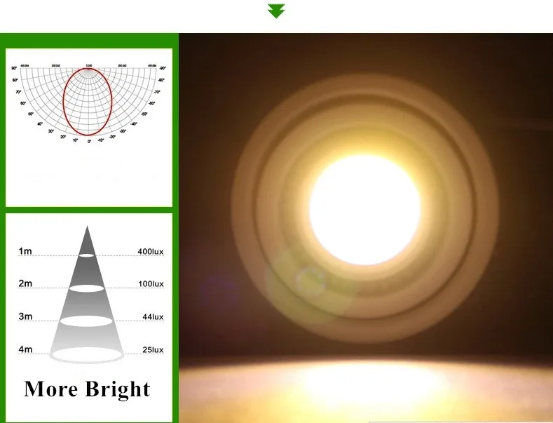 downlight 11