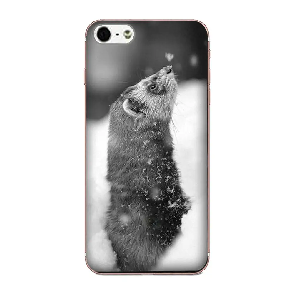 Ferret для Galaxy Alpha Note 3 4 10 A10 A20 A20E A30 A40 A50 A60 A70 A80 A90 M10 M20 M30 M40 новейший супер милый чехол