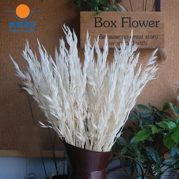 

50pcs dried natural flower bouquets natural dried ear of oats bouquets oats ear bunches