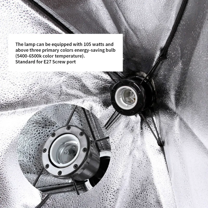ELS0569-a2