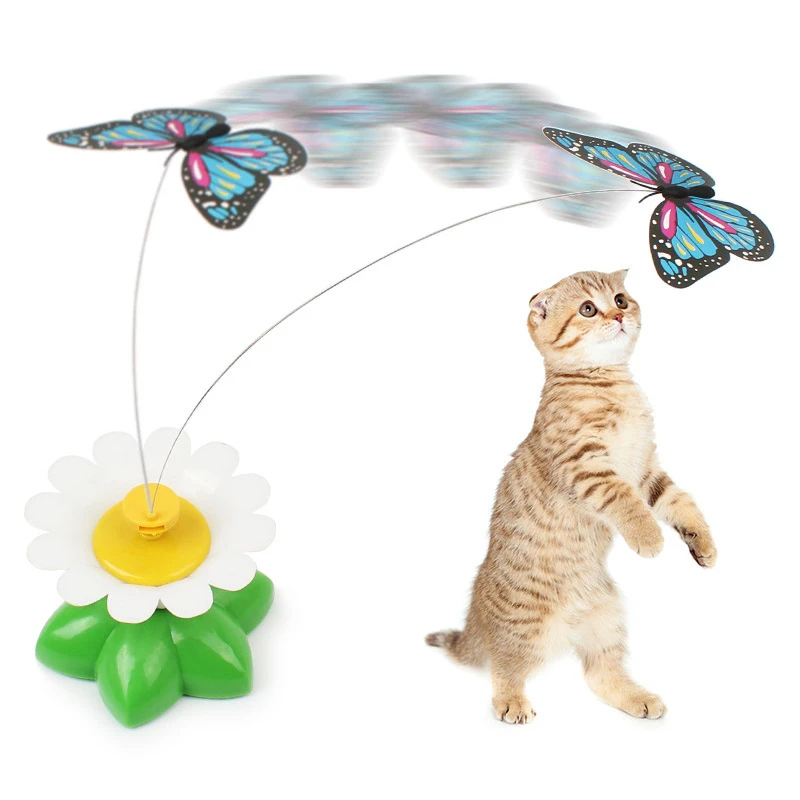 interactive cat toys