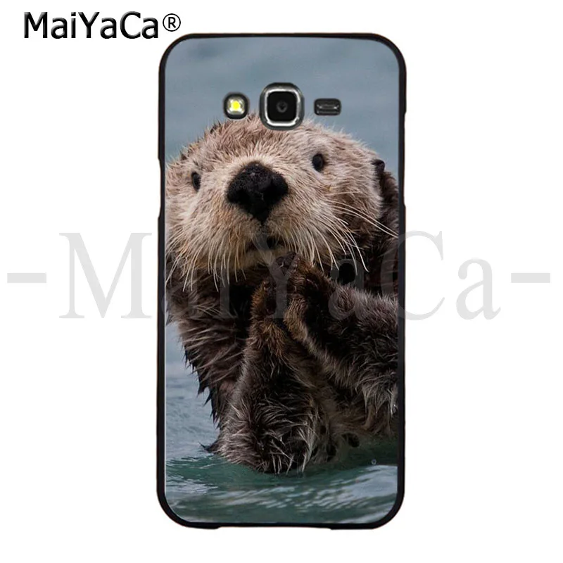 Animal otter
