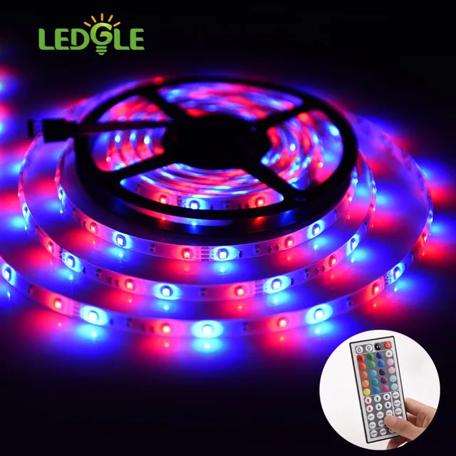 Color Changing Led Light Strips Inspiration LEDGLE 60M DC60V 60LEDs Waterproof SMD36028 RGB Color Changing LED Color Changing Led Light Strips Inspiration LEDGLE 60M DC60V 60LEDs Waterproof SMD36028 RGB Color Changing LED