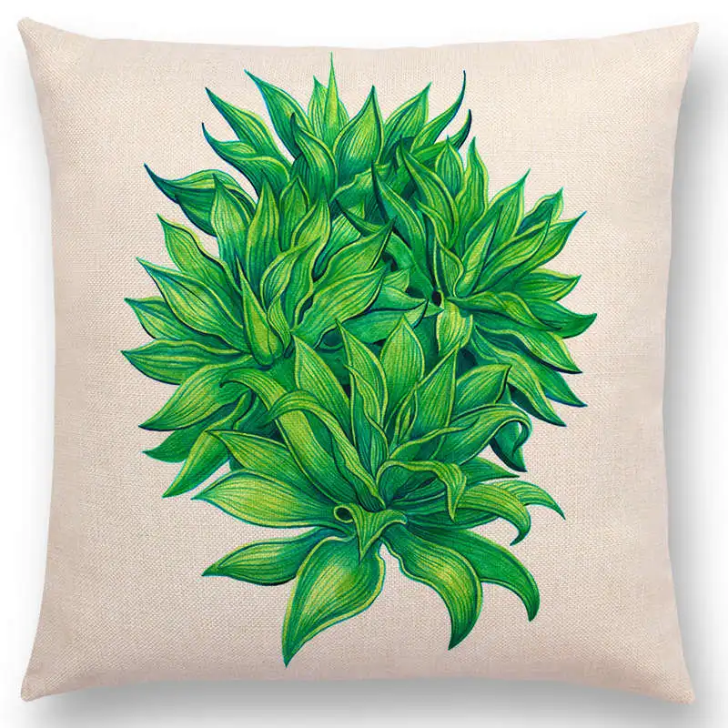Новые акварельные растения Гибискус Agave Monstera Philodendron Пион Феникс Пальма лотоса