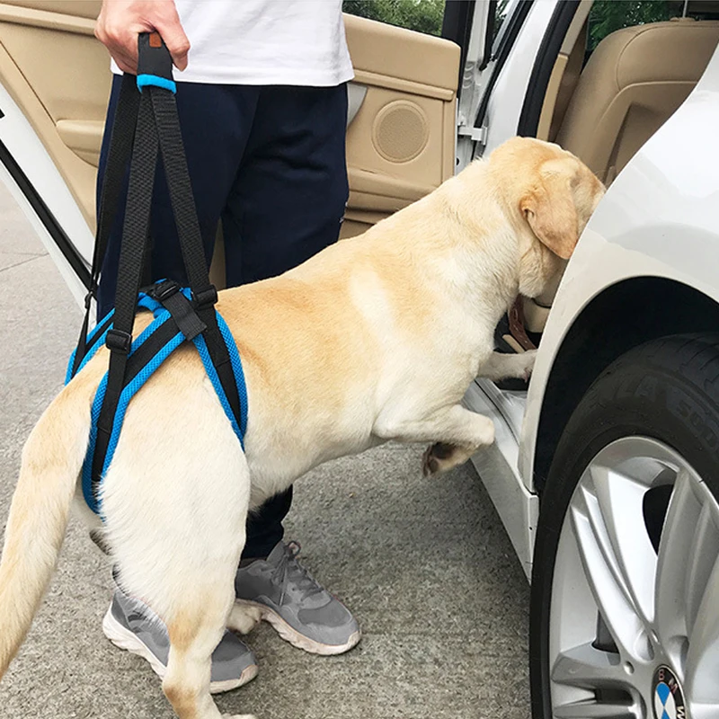 

New Pet Leg Straps Walking Bracket Dog Leg Belts Hind Legs Support Harness with Assist Sling for Old Injured Dogs