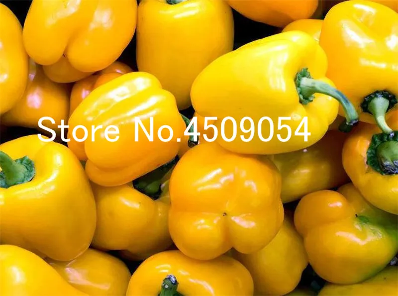 100 pcs Hot Chili Seedsplants Carolina Reaper Organic Bonsai Vegetable Rainbow Bell Ghost Pepper Bonsai Home Garden Easy Grow