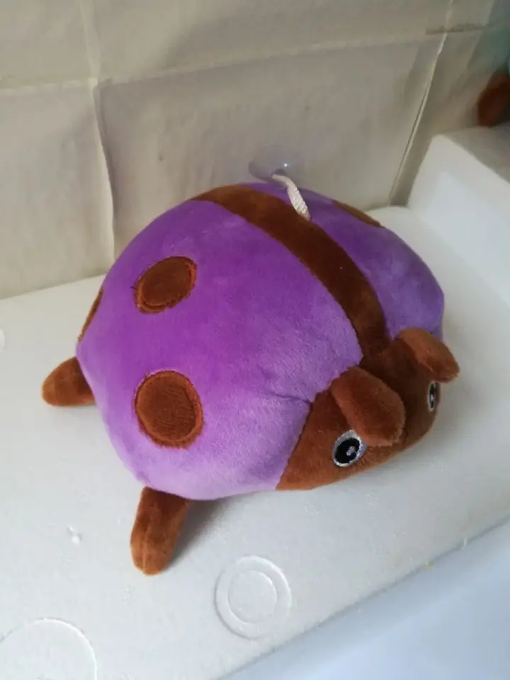 19 - 