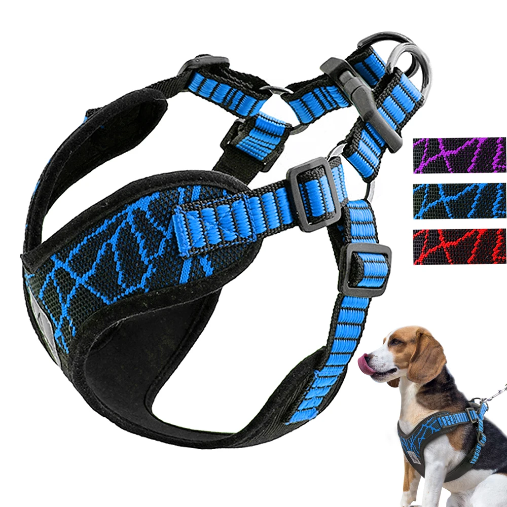 Pet sport. Шлейка Superpet Sport Pro Dog hardness. Шлейка для Джек Рассела. Шлейка для щенка Джек Рассел. Жилет поводок для собак.