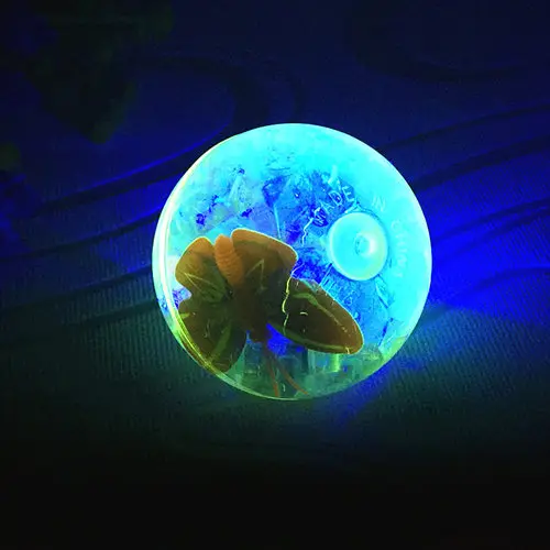 Luminous bouncing ball with elastic string light clear transparent crystal playball children pet toy doggy kids girls boys gift 5