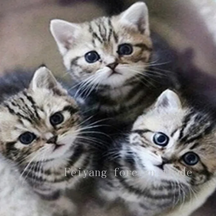 diy5d diamond painting Animals Cats knitting machine