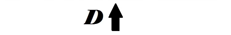 D 4
