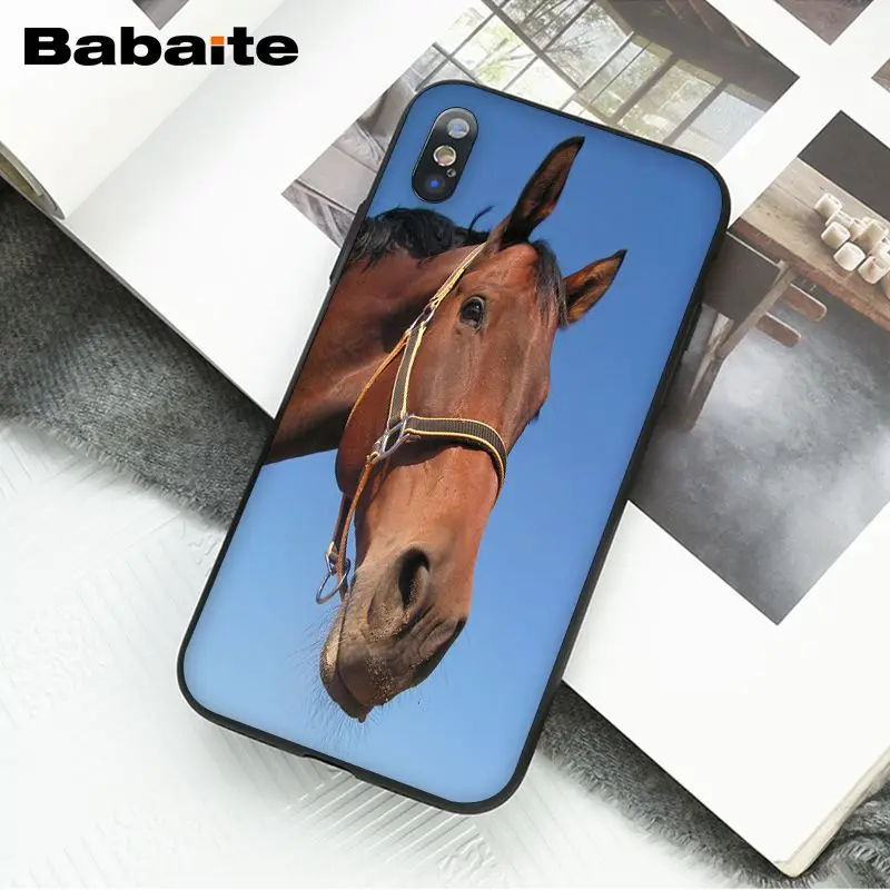 Horse Animal