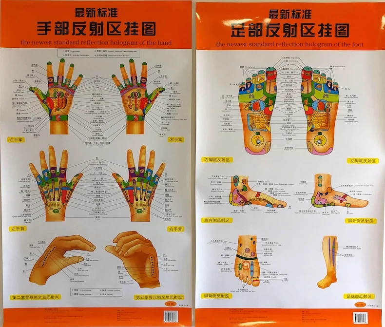 Новейшие Стандартный отражение голограммы руки/стопы двуязычный диаграммы китайский и английский для самостоятельного Средства ухода за