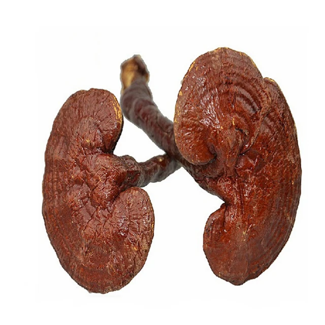 1kg Dried Lingzhi Reishi Mushrooms 10cm Ganoderma Lucidum Chinese Wild