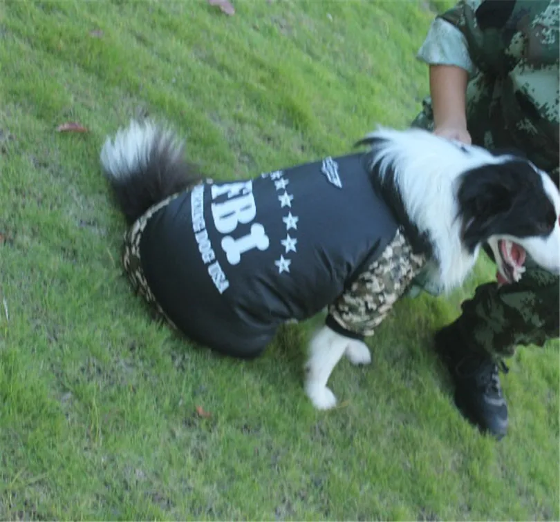 jacket dog winter (4)