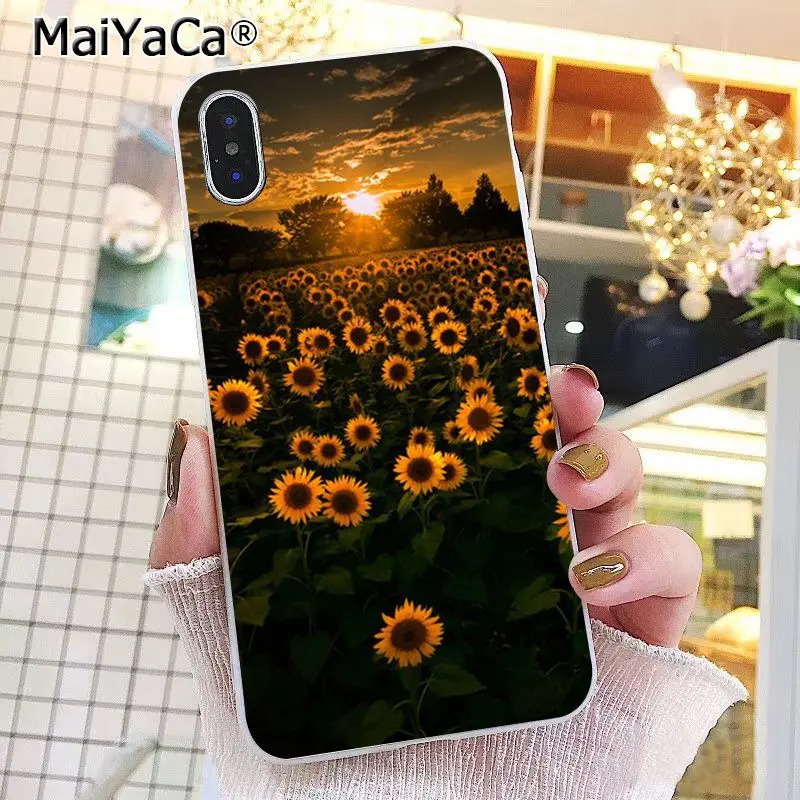 Yellow Sunflower Flowers Art  