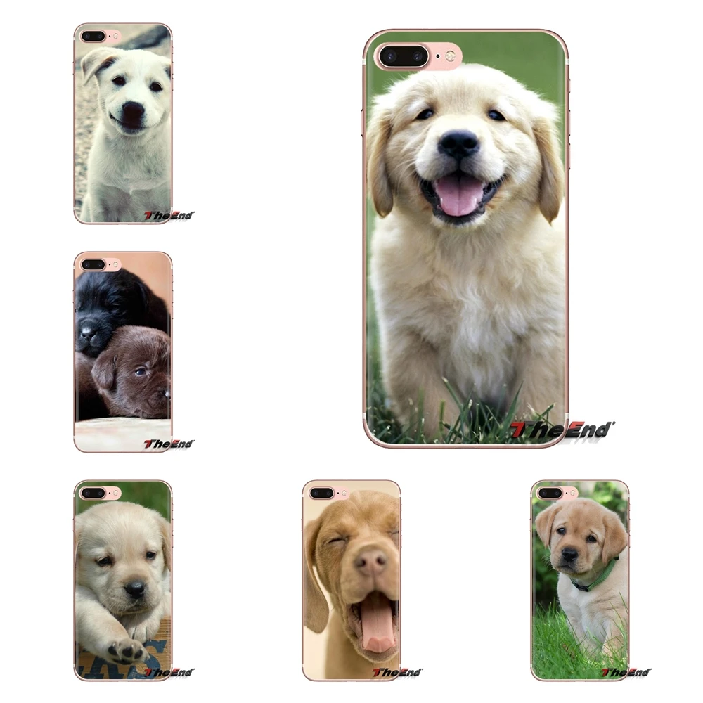 Чехлы для телефонов Xiaomi Mi3 Samsung A10 A30 A40 A50 A60 A70 Galaxy S2 Note 2 Grand Core Prime cute dog golden Labrador retriever