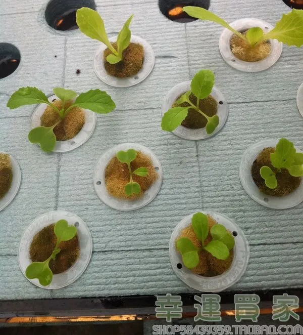 Садовые принадлежности гидропоники растения Семена овощей пены кубики горшок для запуска для гидропоники system2.3* 2,3(117 шт./лот