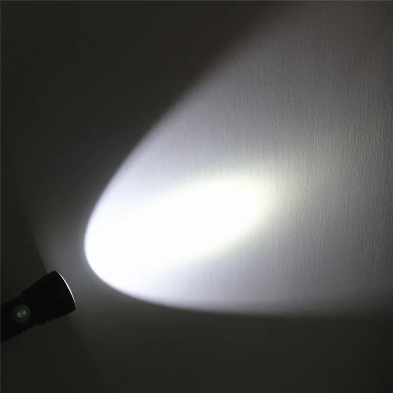 DL0036 (1)