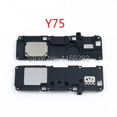 Y75