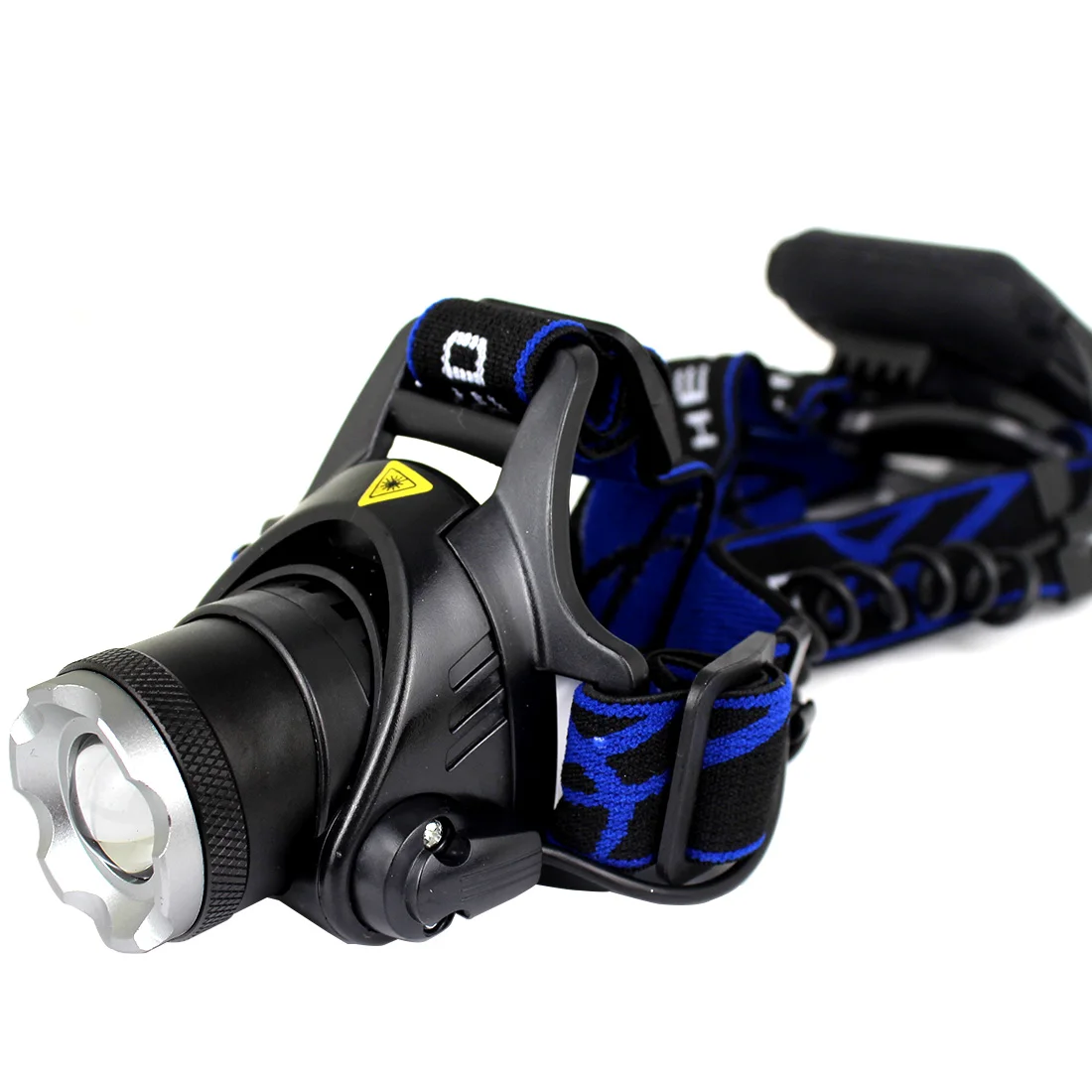 Flashlight Fish