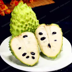 Sweetsop карликовые деревья Annona питательный зеленый фрукты карликовые деревья тропические фрукты NO-GMO хорошо для здоровья домашние, садовые