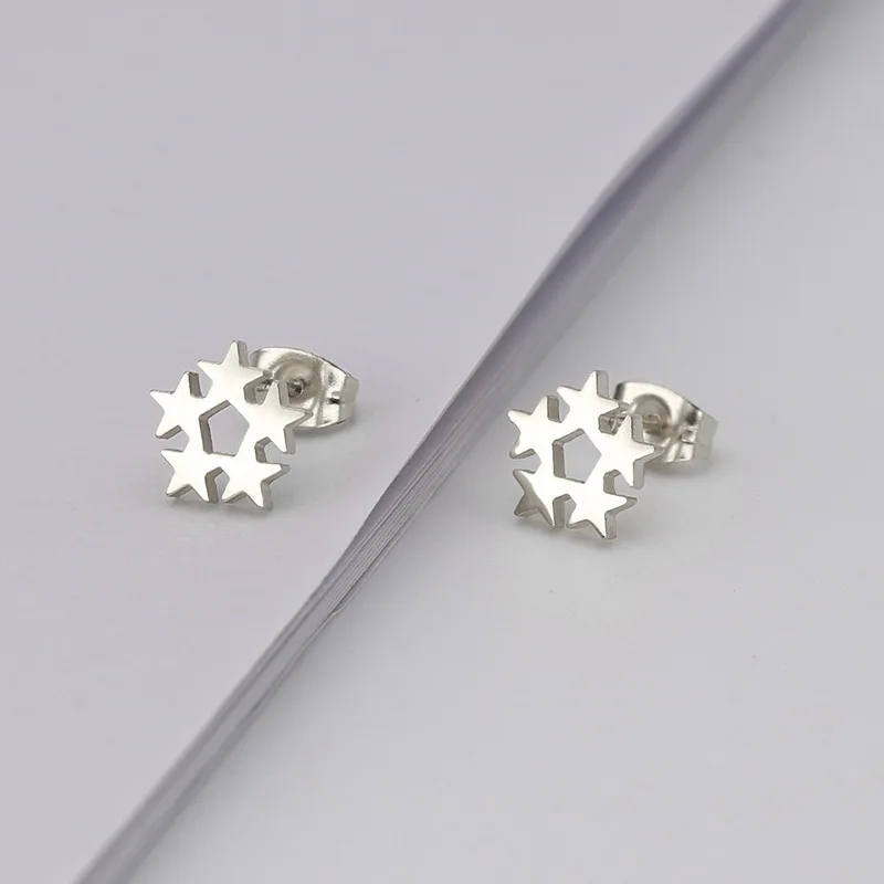 Stainless Steel Earrings