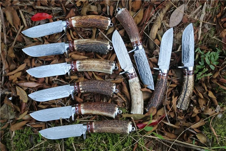 TB2_8ExnpXXXXbCXpXXXXXXXXXX_!!2646315462