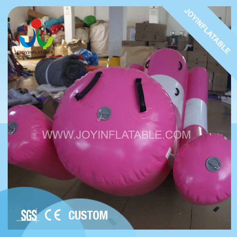Inflatable Swwsaw Water Amusement Park 5