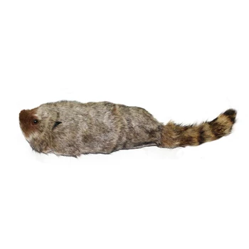 

Raccoon Magic Stage Street Illusions Gimmick Accessories Prop Funny Appear Spring Animal Magic Toy