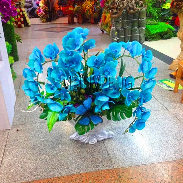 Акция потери! 20 шт смешанные цвета фаленопсис завод Бонсай Балкон цветок Орхидея сад разнообразие в комплекте,# DVRTJS - Цвет: 6