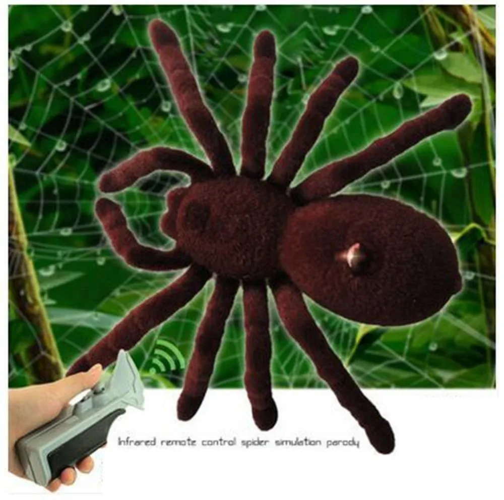 XYG-Spider-787_07