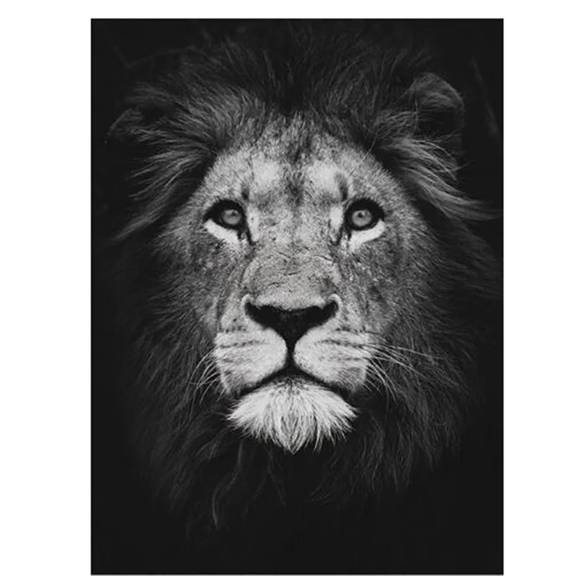 

DIY 5D Full round Diamonds Embroidery animal square Diamond Painting Cross Stitch Kits Diamond Mosaic Home Decoration lion