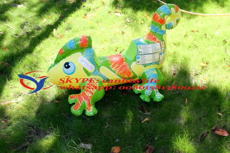 IMG_0943__