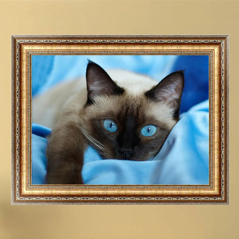 Кошка 5 d. Возвращение блудного кота алмазная мозаика. Картина декор коллаж кошки и кошки. Алмазная вышивка черный кот. Кошка 5 d.