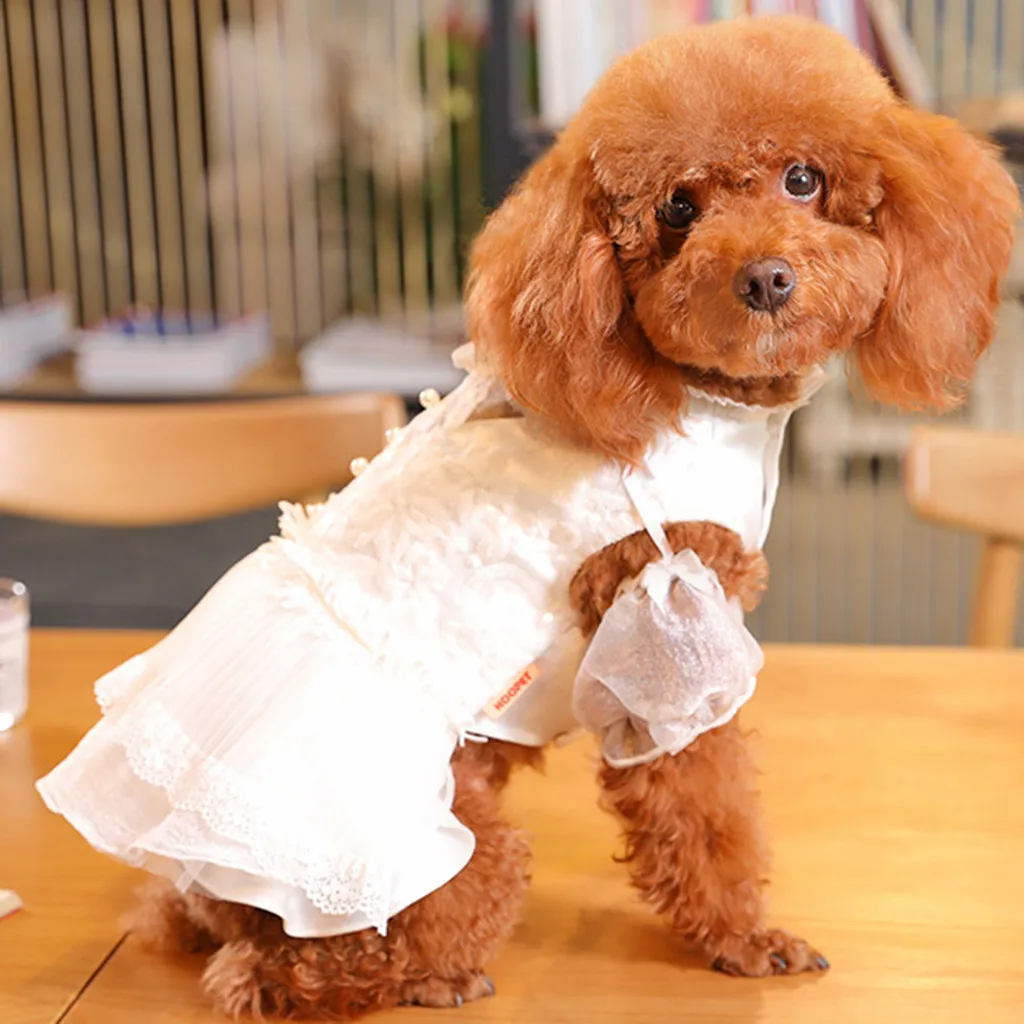 

Spring Summer Cute Dogs Dresses for Small Dogs Princess Pineapple white Puppy Costumes Clothes dog dresses pets vestido perro