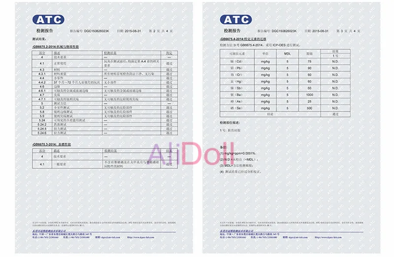 Test Report (2)