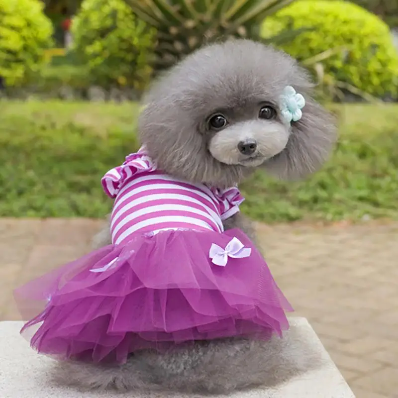 Summer Dog Dress Clothes Purple Pink Princess Dog Dress for Small Dog