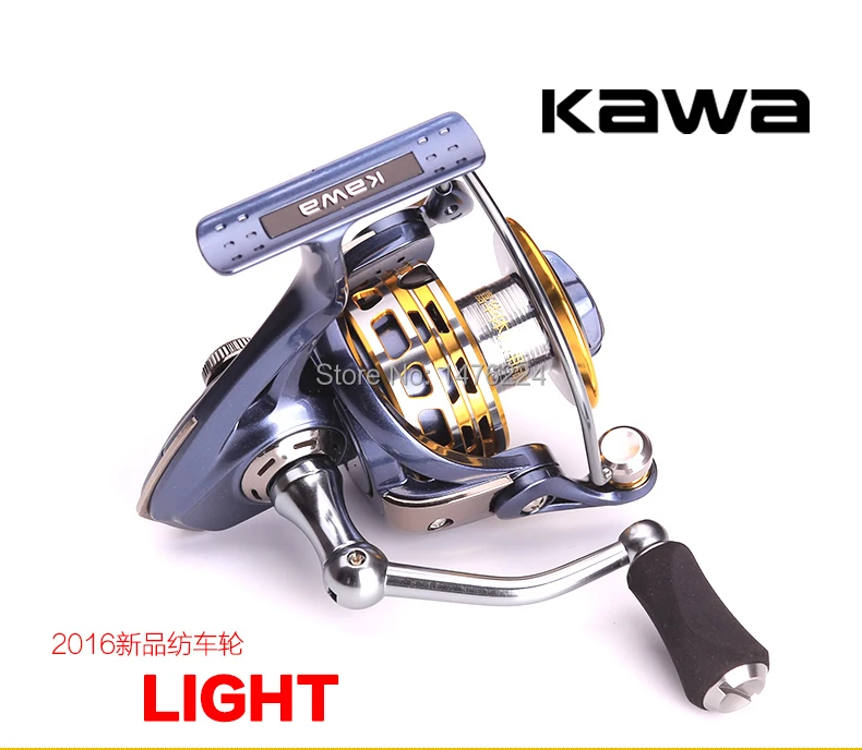 -LIGHT1.jpg