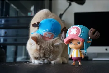 

11cm One Piece Chopper Anime figure Action Figure Chopper figuras Dolls Red Blue Hat Gift Model Collection Toy