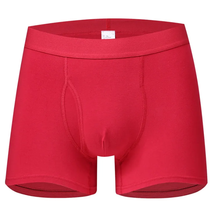 mens stylish and comfortable underpants (4)